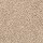 Masland Carpets: Opalesque Shadow
